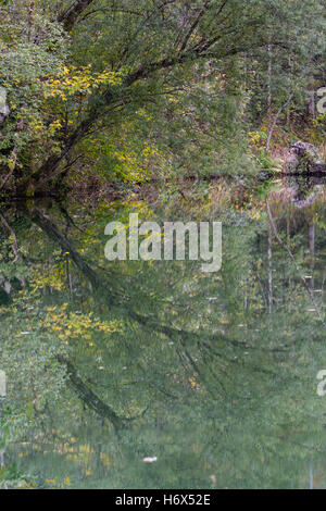 Impressions d'automne, Forêt, Lac, Réflexion, Nationalpark Gesäuse, Styrie, Autriche Banque D'Images