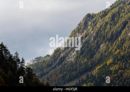 Impressions d'automne, montagne, forêt, Nationalpark Gesäuse, Styrie, Autriche Banque D'Images