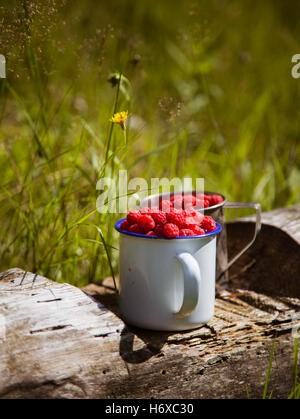 Deux tasses de framboises sauvages sur un journal en bois Banque D'Images