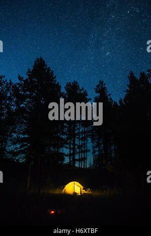 Une tente dans un foreest la nuit Banque D'Images