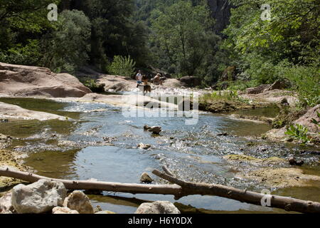 Gorges de Pennafort Pennafort, canyon, Var, Provence-Alpes-Côte d'Azur, France Banque D'Images