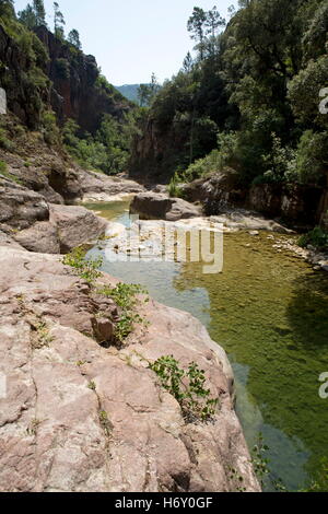 Gorges de Pennafort Pennafort, canyon, Var, Provence-Alpes-Côte d'Azur, France Banque D'Images