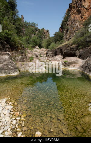 Gorges de Pennafort Pennafort, canyon, Var, Provence-Alpes-Côte d'Azur, France Banque D'Images