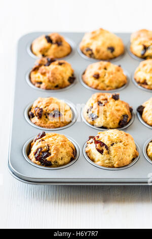 Muffins aux canneberges fraîchement cuits dans un muffin tin Banque D'Images