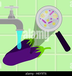 Aubergines contaminés nettoyés et lavés dans une cuisine. Micro-organismes, virus et bactéries dans l'étendue par un légume Illustration de Vecteur