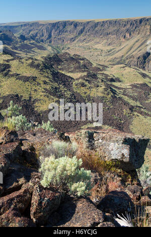 Owyhee Canyon Overlook, Valley Wild and Scenic River, Vale District Bureau de la gestion des terres, de l'Oregon Banque D'Images