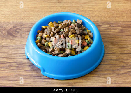 Dans les aliments secs pour chats isolés bol bleu sur bois sol stratifié. Banque D'Images