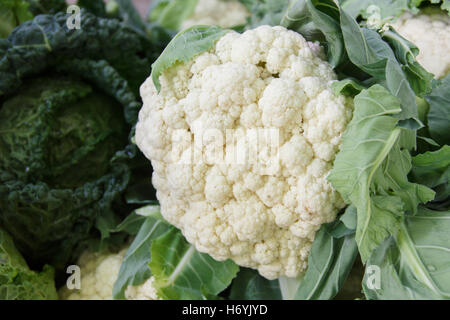 Chou-fleur frais entier mélangé avec des problèmes de mise au point le chou dans l'arrière-plan. Banque D'Images