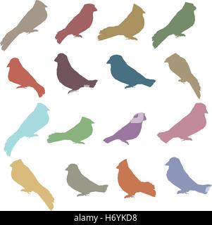Silhouette vecteur Collection Couleur d'oiseaux Illustration de Vecteur