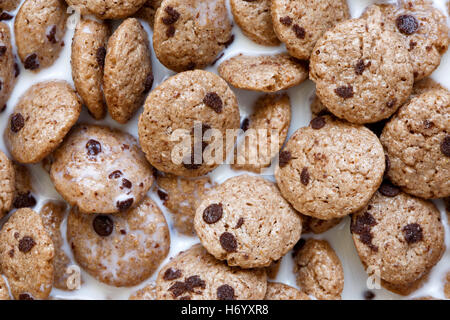 Arrière-plan de cookies aux pépites de chocolat dans le lait de céréales à partir de ci-dessus. Banque D'Images