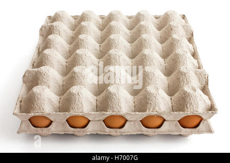 Bac plein d'oeufs de poule couvert. Banque D'Images