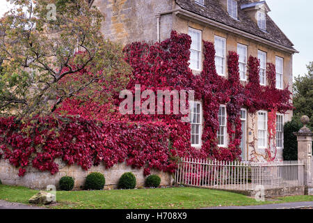 Du Parthenocissus tricuspidata. Boston ivy / réducteur japonais sur une maison de Broadway, Cotswolds, Worcestershire, Angleterre. Banque D'Images