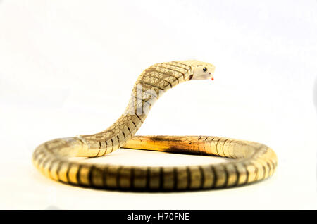 King Cobra snake jouet en bois fabriqués à partir de Banque D'Images