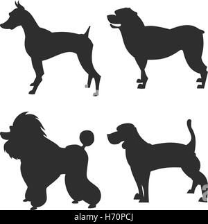 Le square photo petit groupe d'ombres noires des quatre chiens de race Thoroughbred isoleted sur le fond blanc Illustration de Vecteur