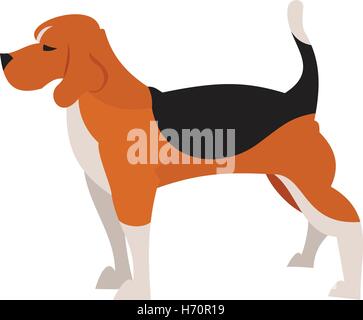 Chien Beagle isolé sur fond blanc, les jeunes animaux, de race, d'illustration vectorielle Illustration de Vecteur