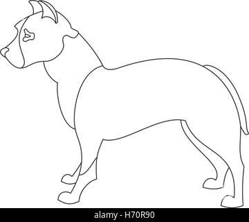 American Pitt bull terrier. Doggy style linéaire dans l'obéissance. Vector illustration Illustration de Vecteur