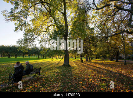 Les visiteurs sur un banc de parc dans les prés, Édimbourg, Écosse que la faible lumière du soleil l'automne projettent de grandes ombres à travers les arbres. Banque D'Images