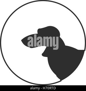 Silhouette d'une tête de chien teckel. Animaux de race domestique monochrome, vector illustration Illustration de Vecteur