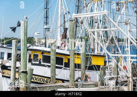 Bateaux de crevettes accosté près de la rivière Saint-Jean à Mayport de Jacksonville, Floride, USA. Banque D'Images