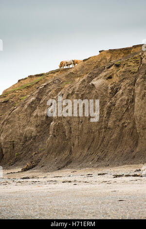 Falaises de till glaciaire la bouche de l'enfer (plage), Porth Neigwl péninsule Llyen UKWales, Gwynedd au Pays de Galles UK Octobre 2016 Banque D'Images