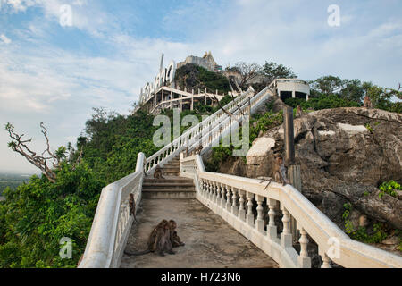 Khao Chong Krachok monkey temple, Prachuap Khiri Khan, Thaïlande Banque D'Images