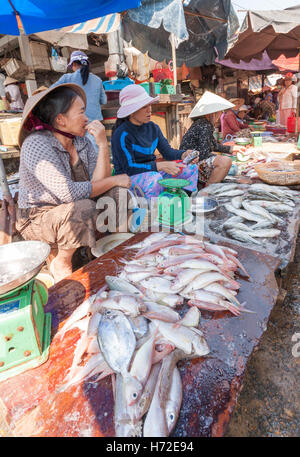 Femmes vendeuses du marché de poisson stall, Viêt Nam Banque D'Images