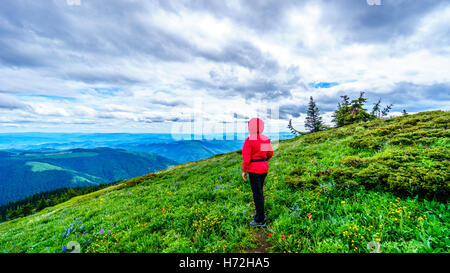 Senior woman une randonnée dans les alpages de haute montagne Tod dans le Highlands of British Columbia Shuswap Banque D'Images