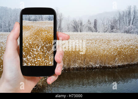 Téléphone téléphone voyage arbre hiver neige tourisme horizon nord frost photo caméra photographie plein air Tourisme congelé Banque D'Images