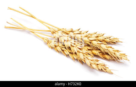 Le blé isolé sur fond blanc Banque D'Images