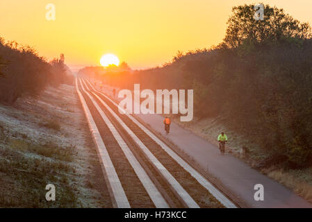 Plus de Cambridgeshire, Royaume-Uni, 2 novembre 2016. Cyclistes roulent vers Cambridge comme le soleil se lève sur les pistes d'un clair et net, frosty matin d'automne. L'air clair et première gelée d'automne dans l'Est de l'UK jeter une lumière dorée sur le trajet du matin. Julian crédit Eales/Alamy Live News Banque D'Images