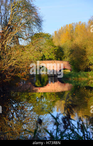 Sonning on Thames, Berkshire, Royaume-Uni. 2 novembre, 2016. Couleurs automnales à Sonning Pont sur la Tamise, Berkshire Crédit : Wendy Johnson/Alamy Live News Banque D'Images