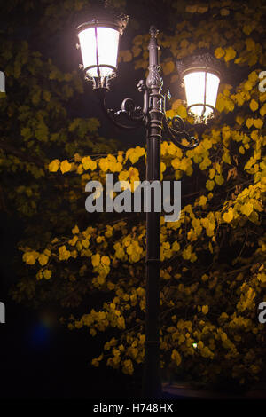 De style ancien lampadaire brillants dans la nuit sur une allée du parc, à côté d'un arbre Banque D'Images