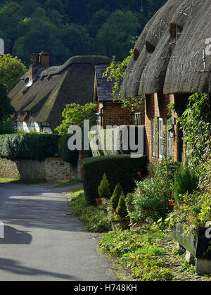 Une rangée de chaumières prendre le soleil d'automne dans la rue gracieuse, Selborne, Hampshire, Angleterre. Banque D'Images