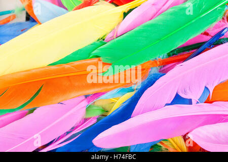 Les plumes des oiseaux réels comme goose, Dove, poulet canard. Plume d'oiseau de couleur pour son utilisation créative. Belle texture de fond, Banque D'Images