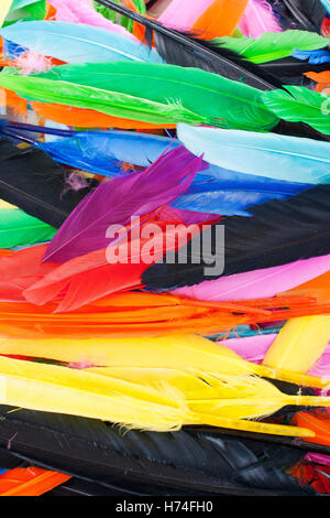 Les plumes des oiseaux réels comme goose, Dove, poulet canard. Plume d'oiseau de couleur pour son utilisation créative. Belle texture de fond, Banque D'Images