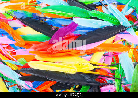 Les plumes des oiseaux réels comme goose, Dove, poulet canard. Plume d'oiseau de couleur pour son utilisation créative. Belle texture de fond, Banque D'Images