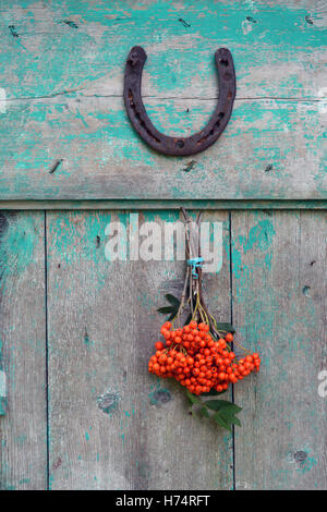 Symbole de chance old rusty à cheval sur la porte et Rowan berries bunch Banque D'Images