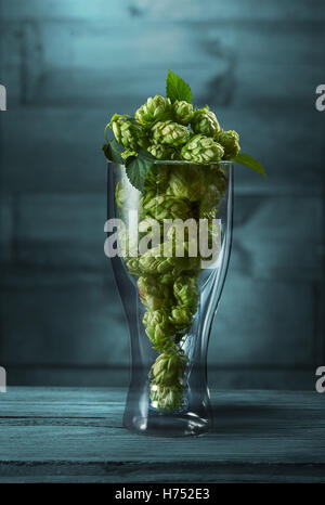 Le houblon vert séché dans un verre sur le fond en bois bleu Banque D'Images