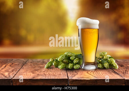 Verre à bière servi sur un bureau en bois . Hop-field on background Banque D'Images