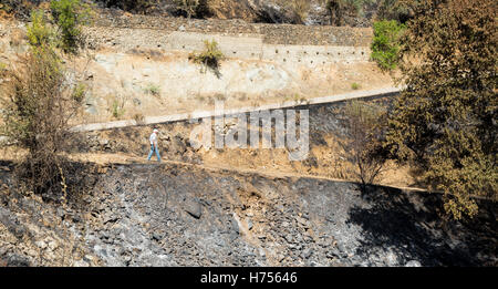 Senior adulte marche dans un sentier de terre brûlée après un grand feu de forêt dans les montagnes de Troodos, à Chypre Banque D'Images