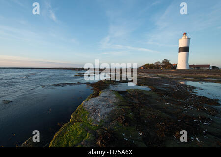 Phare Långe Jan / Tall John / Langer Jan à la cape du sud d'Öland en mer Baltique, la Suède Banque D'Images