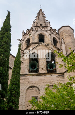 Le clocher en pierre sculptée de la Basilique Saint Pierre avec de grands cyprès au premier plan, Avignon, France Banque D'Images
