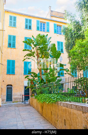 La maison jaune avec des volets bleus et le petit jardin en face de c'est le lieu de naissance de Napoléon Bonaparte Banque D'Images