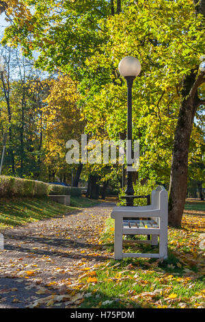 Un banc de parc en bois et d'une lanterne de la rue sous l'arbre en automne Banque D'Images