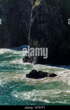 Vue depuis l'île de Carrick le long de la côte d'Antrim, Irlande Banque D'Images