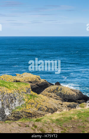 Vue depuis l'île de Carrick le long de la côte d'Antrim, Irlande Banque D'Images