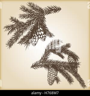 Rustique à la main vintage design éléments de vecteur. Collecte de branches de conifères de la forêt et des pommes de pin isolé sur fond brun. Illustration de Vecteur