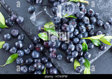 Les bleuets avec des cubes de glace sur la plaque d'ardoise. Banque D'Images