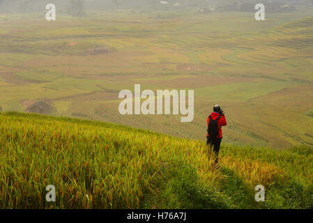 Homme debout dans le champ de riz en terrasses en prenant une photo, Mu Cang Chai, YenBai, Vietnam Banque D'Images