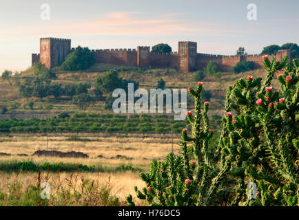 Le Portugal, l'Algarve, un cactus avec château de Silves dans la distance Banque D'Images